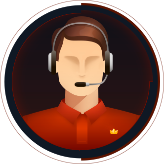 Профессиональная служба поддержки в режиме 24/7